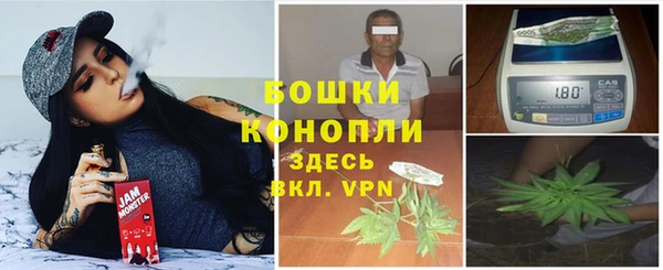 трава Горно-Алтайск