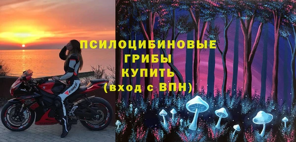 а пвп мука Горняк