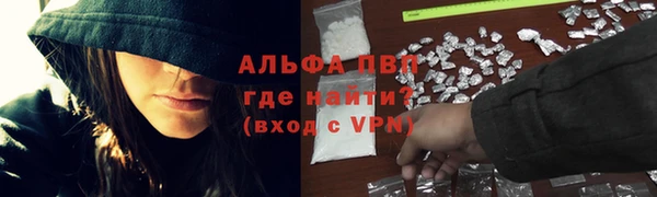 гидра Вязники