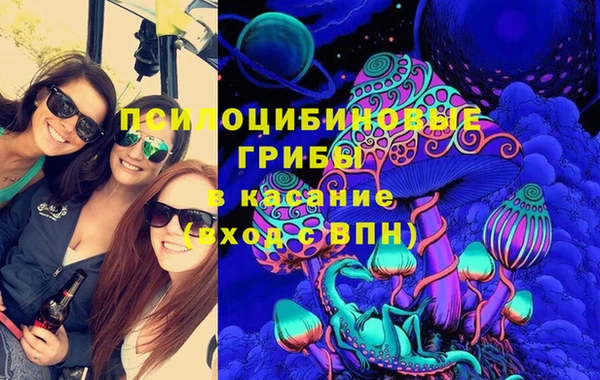 гидра Вязники