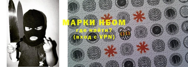сатива Горнозаводск