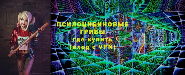 сатива Горнозаводск
