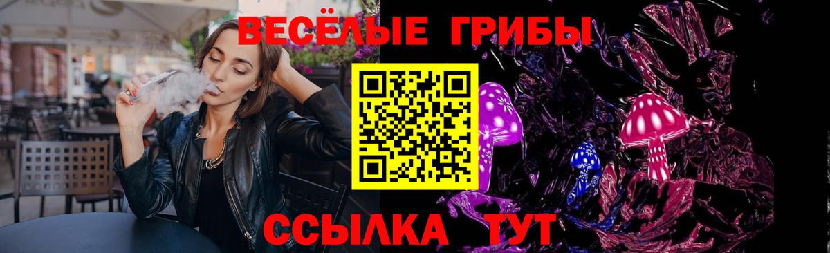 даркнет сайт  Вход с VPN  Мценск  Галлюциногенные грибы GOLDEN TEACHER 